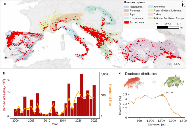 Spatial patterns of forest fires and deadwood. a Locations of forest fires &ge;30 ha across eight major mountain systems in southern and central Europe (2000&ndash;2025). b Annual burned area and number of fires. c Elevational distribution of deadwood across Switzerland.