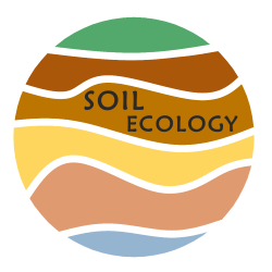 Logo Lehrstuhl für Bodenökologie