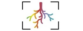 Rhizosphere Spatiotemporal Organisation - SPP 2089