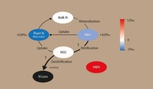 Changes in natural 15N abundance highlight warming-induced stimulation of soil nitrate losses by coupled nitrification–denitrification in an old-growth montane forest.