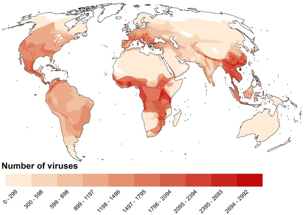 Global richness of bat-associated viruses based on current knowledge. Overall, the richness increases from the poles to the equator. However, this pattern may be modified by climatic conditions such as continentality and precipitation regimens, as well as diversity and distribution of bat host species. Regions with the highest richness of known bat-associated viruses are located in Central America, tropical Africa, Southern Europe, and Southeast Asia. Note that deviations from this pattern may result from missing information or incomplete surveys (e.g., New Guinea, Madagascar, India, Amazon basin) whereas Northern America and Europe may be intensely studied.