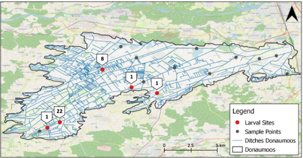 Sample points positive for mosquito larvae (red) with corresponding abundances within the study area of the Donaumoos throughout August 2022