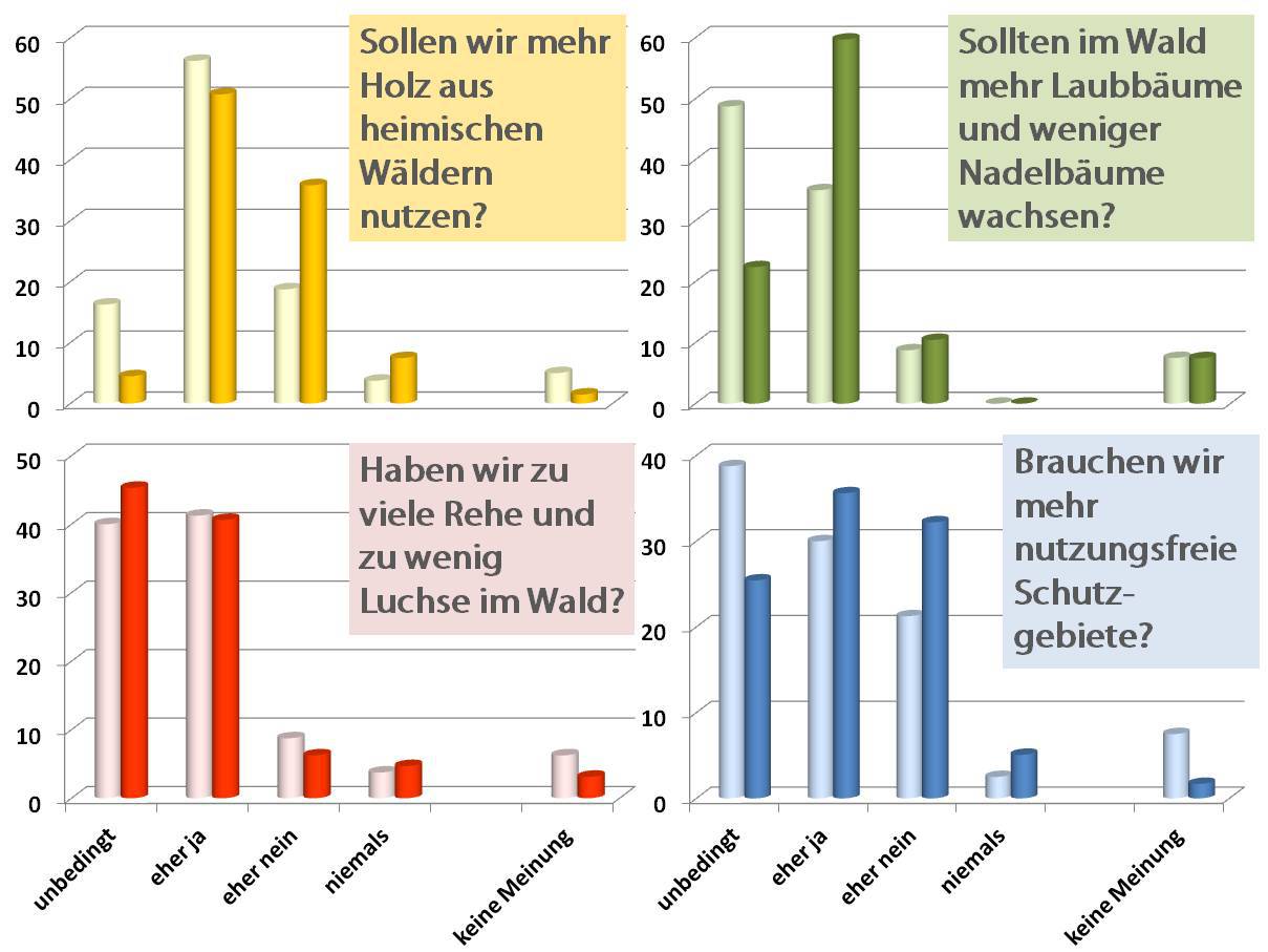 Meinungsbilder