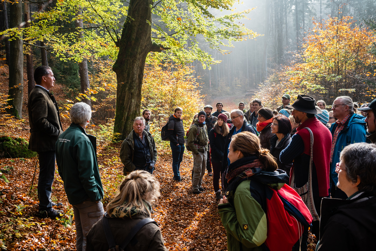 Waldkontroversen 2019 - I