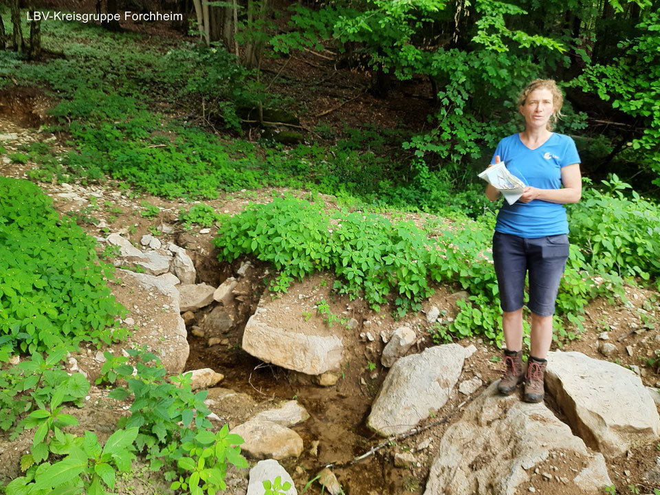 Dipl. Landschaftsökologin Eva Schubert von der LBV-Landesgeschäftsstelle Hiltpoltstein an der Quelle vom Eggerbach (Foto © Ute Wild)