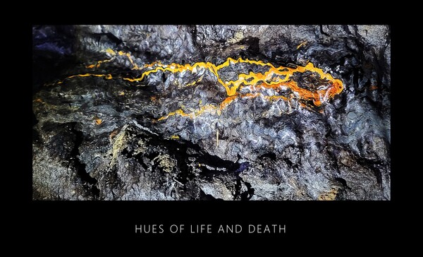 Hues of Life and Death